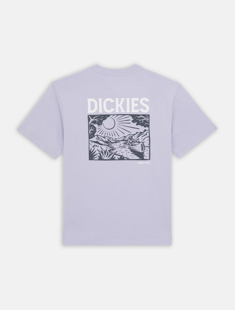 Load image into Gallery viewer, Dickies Men&#39;s Patrick Springs Short Sleeve T-Shirt Cosmic Sky DK0A4YR7H181
