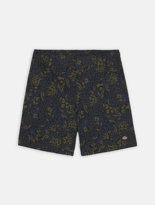 Dickies Men's Saltville Shorts Blue/Brown DK0A4YSHJ46