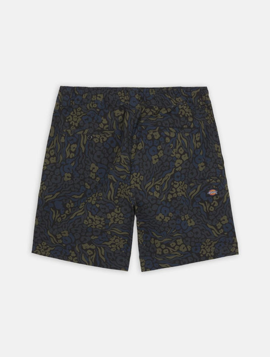 Dickies Men's Saltville Shorts Blue/Brown DK0A4YSHJ46