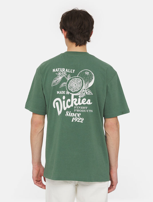 Dickies Men's Raven Short Sleeve T-Shirt Forest DK0A4YYMH151