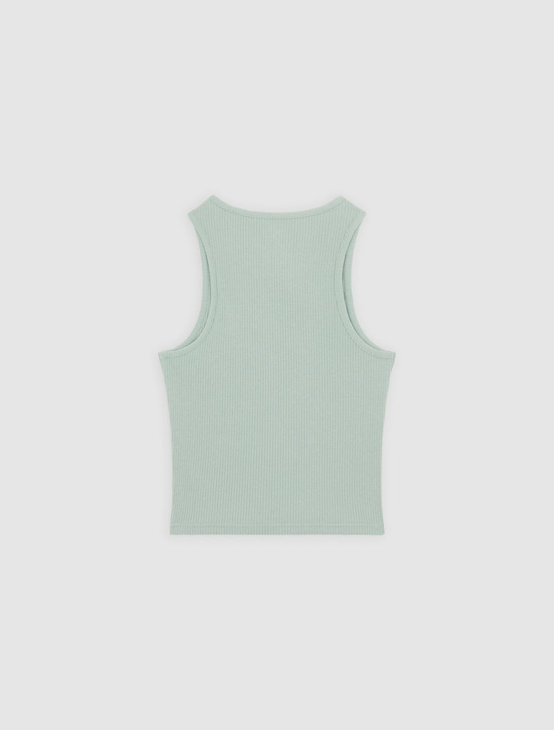 Load image into Gallery viewer, Dickies Women&#39;s Rib Top T-Shirt Light Blue DK0A4Z8NK361
