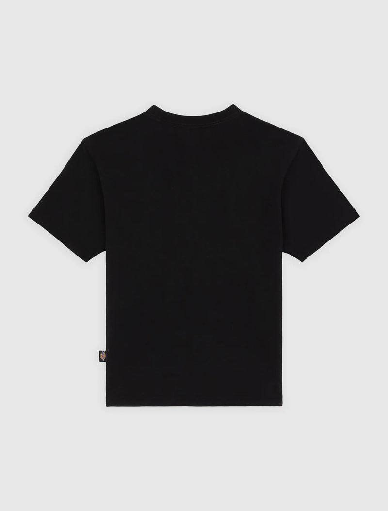 Load image into Gallery viewer, Dickies Women's Maple Valley Regular T-Shirt Black DK0A4ZAOBLK
