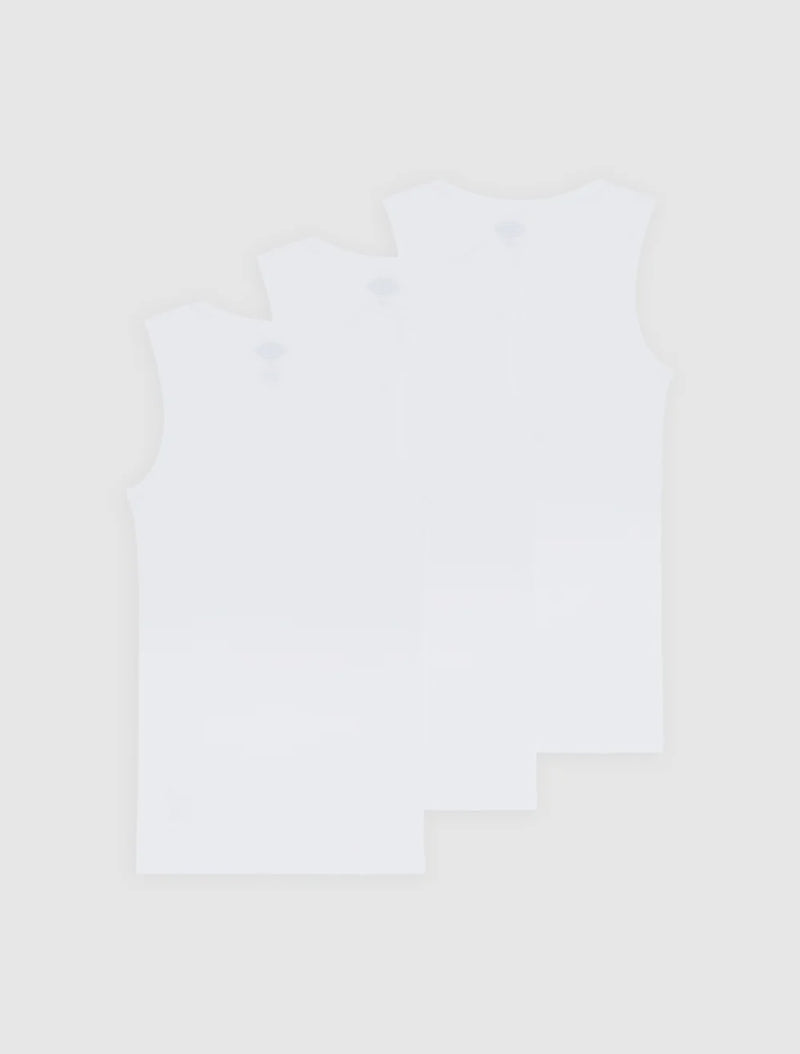 Load image into Gallery viewer, Dickies Men's Amsterdam Tops (3 Pack) White DK0A4ZB2WHX
