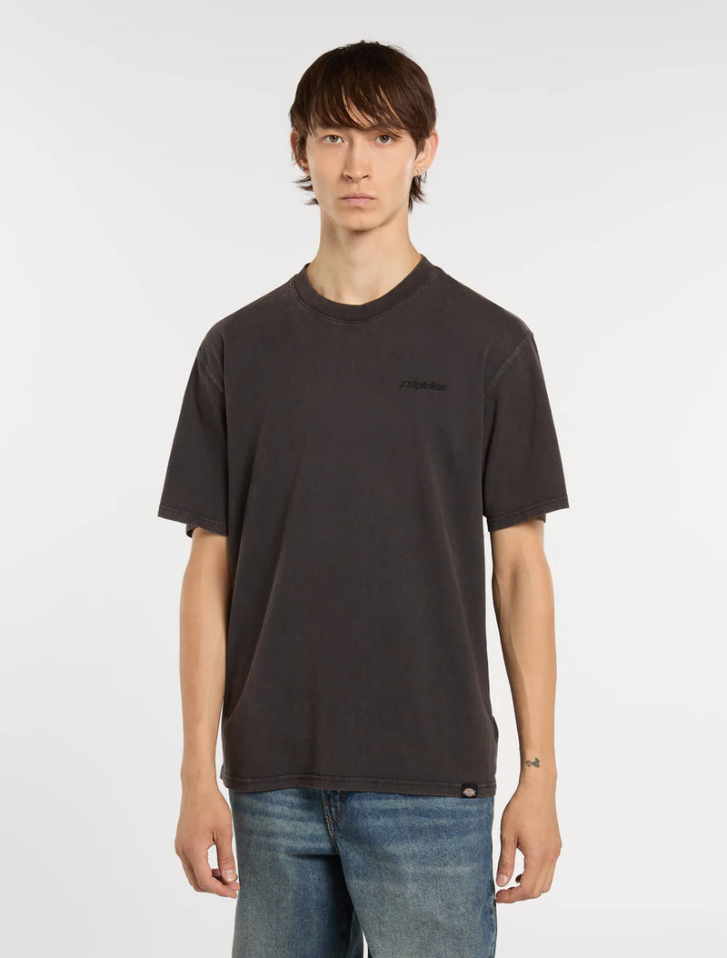 Load image into Gallery viewer, Dickies Men's Plentywood SS T-Shirt Black DK0A866BH861
