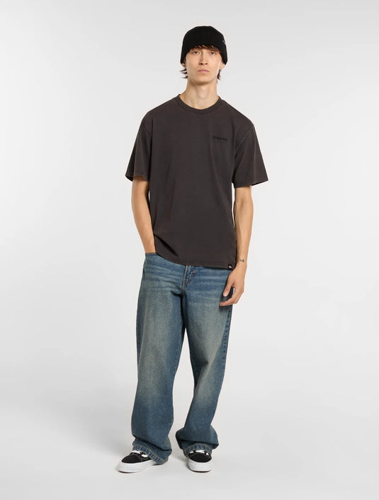 Dickies Men's Plentywood SS T-Shirt Black DK0A866BH861