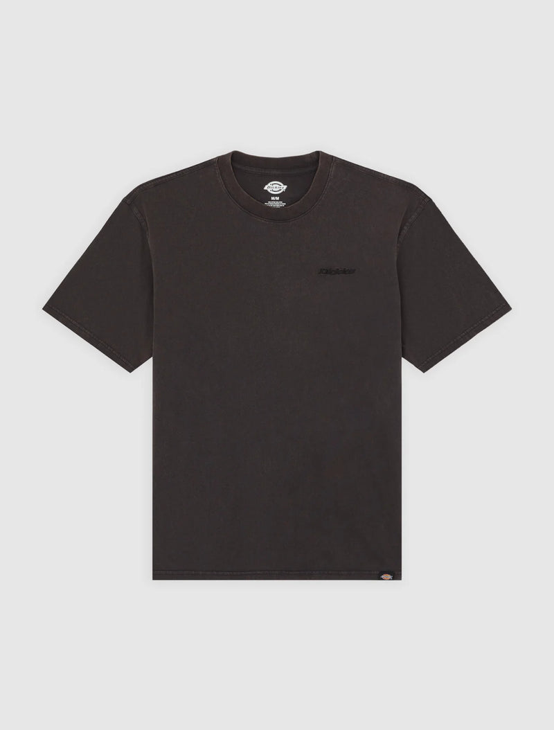 Load image into Gallery viewer, Dickies Men's Plentywood SS T-Shirt Black DK0A866BH861
