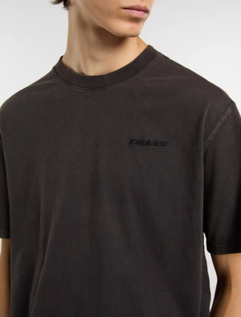 Load image into Gallery viewer, Dickies Men's Plentywood SS T-Shirt Black DK0A866BH861
