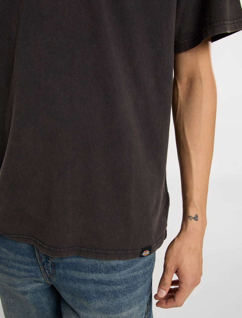 Load image into Gallery viewer, Dickies Men's Plentywood SS T-Shirt Black DK0A866BH861
