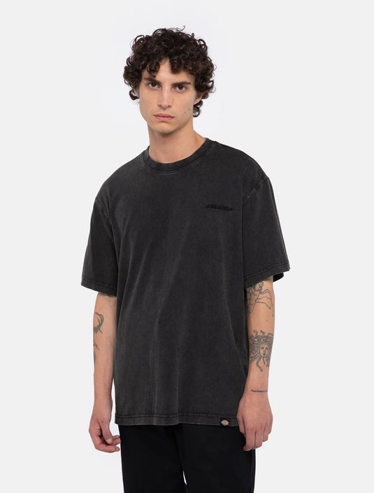 Dickies Men's Plentywood T-Shirt Black DK0A866BH861