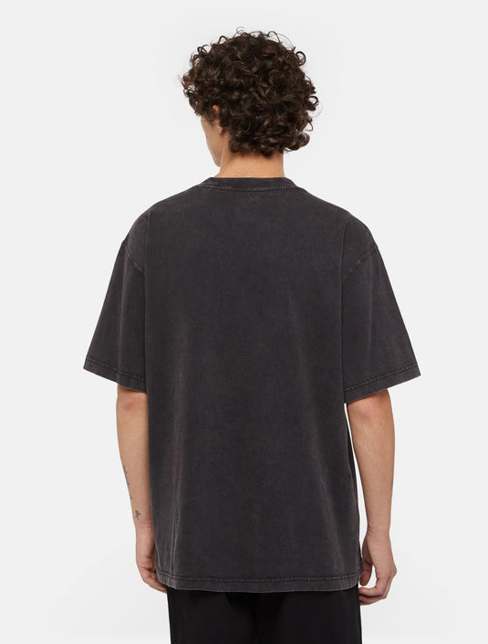 Dickies Men's Plentywood T-Shirt Black DK0A866BH861