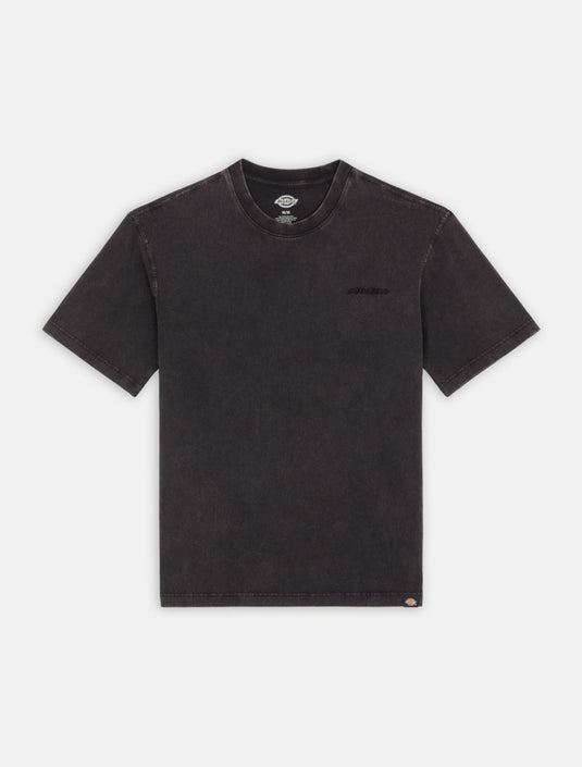Dickies Men's Plentywood T-Shirt Black DK0A866BH861