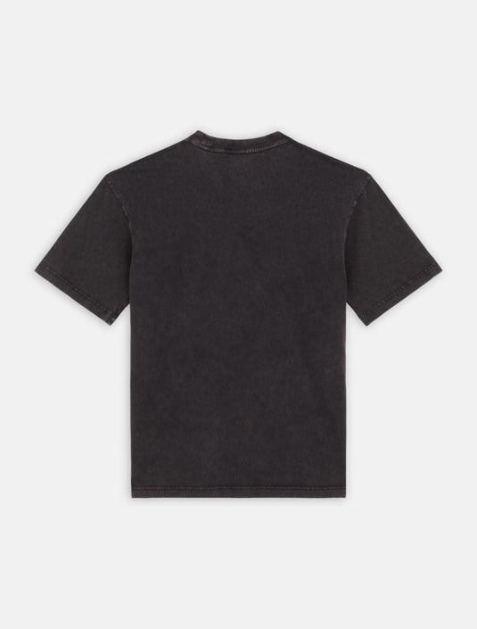 Dickies Men's Plentywood T-Shirt Black DK0A866BH861