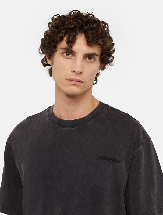 Dickies Men's Plentywood T-Shirt Black DK0A866BH861