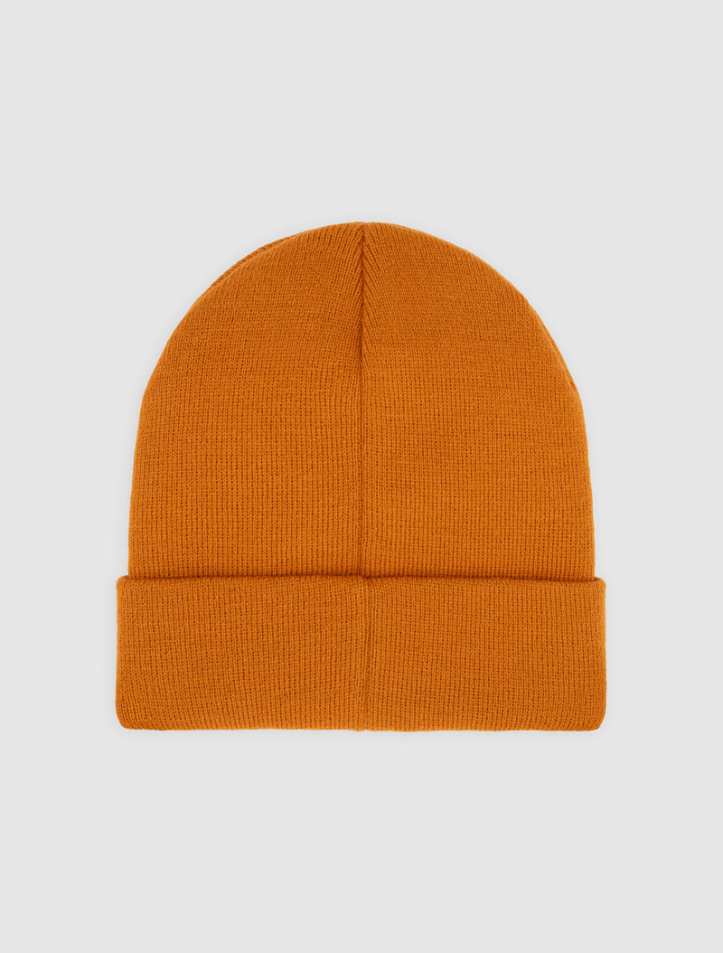 Load image into Gallery viewer, Dickies Unisex Summerdale Beanie Pumpkin Spice DK0A87NGK64
