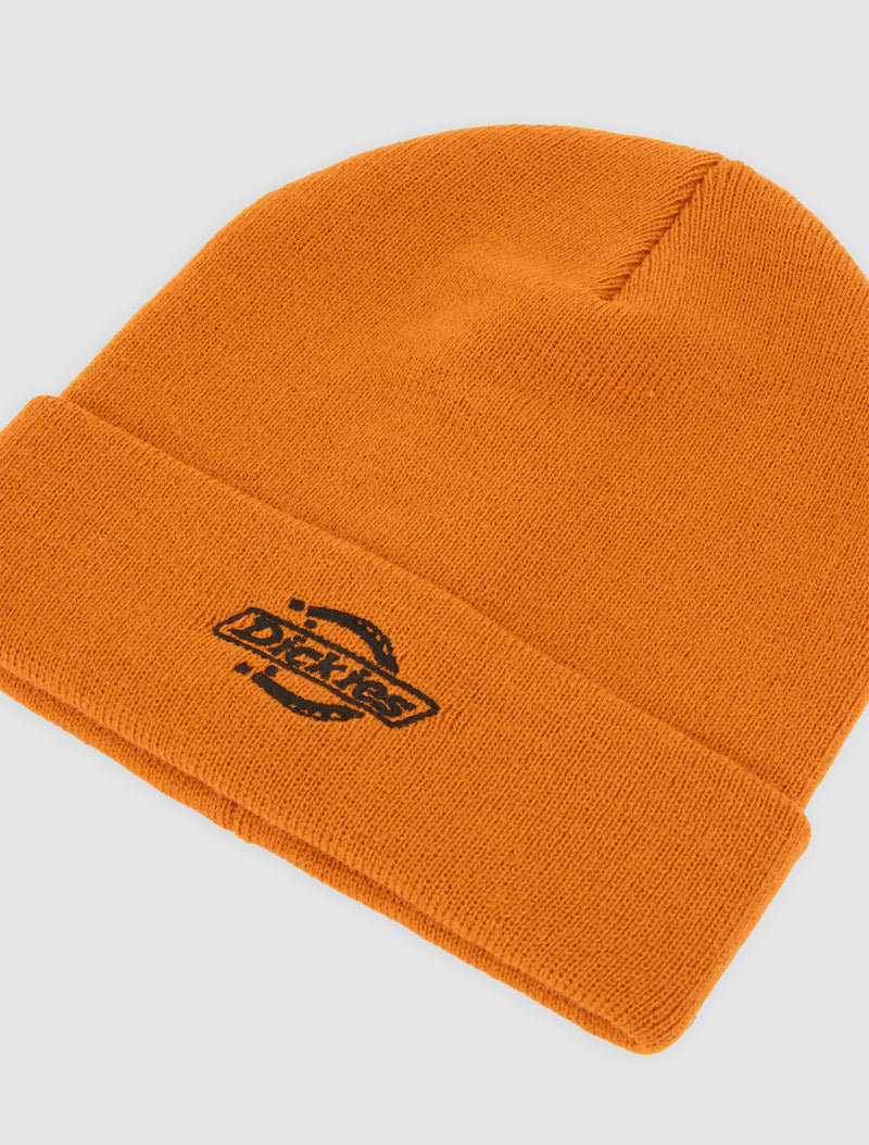 Load image into Gallery viewer, Dickies Unisex Summerdale Beanie Pumpkin Spice DK0A87NGK64
