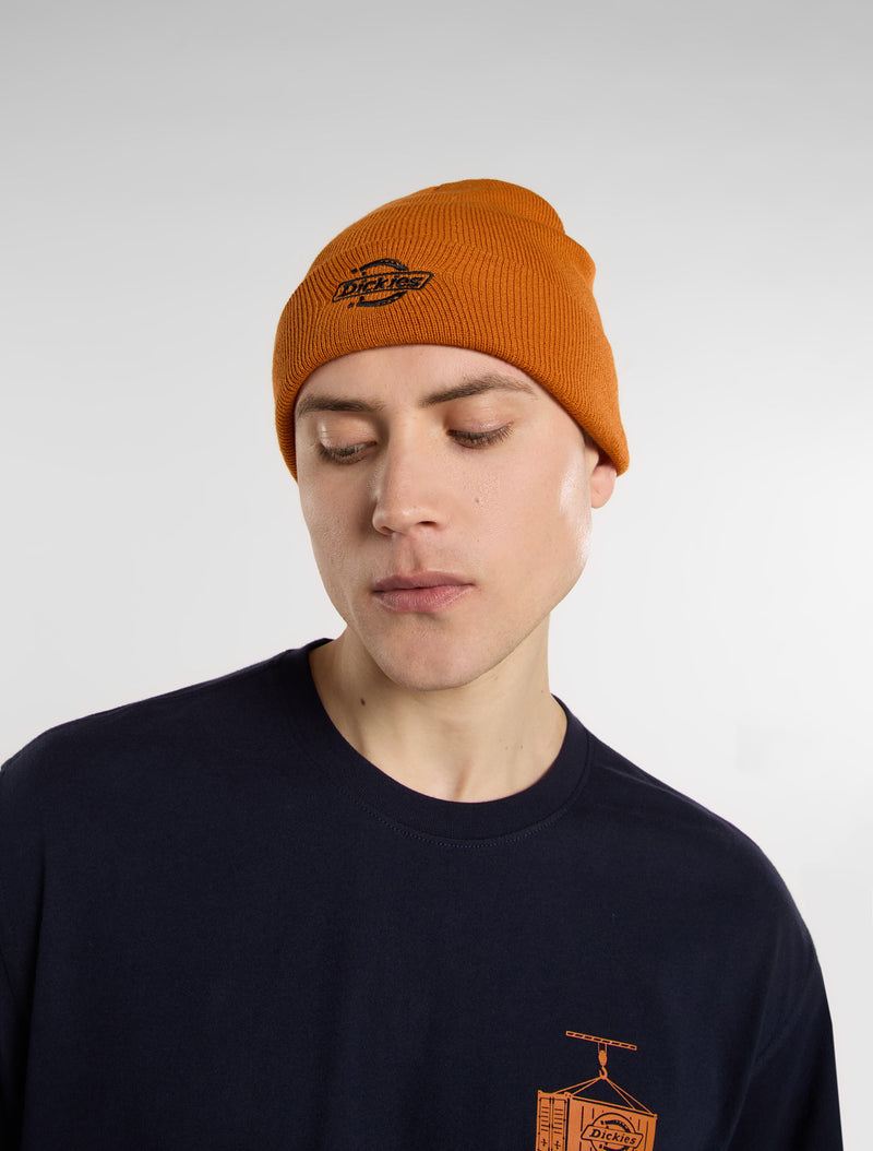 Load image into Gallery viewer, Dickies Unisex Summerdale Beanie Pumpkin Spice DK0A87NGK64
