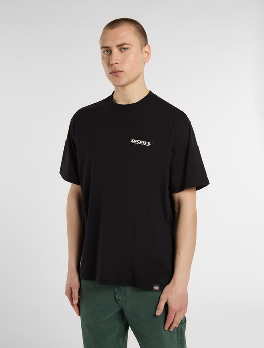 Dickies Men's Burns Light Weight T-shirt Black DK0A87QIBLK