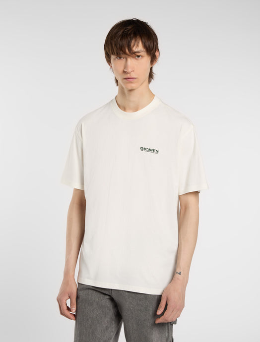 Dickies Men's Burns Light Weight T-shirt Beige DK0A87QIC481