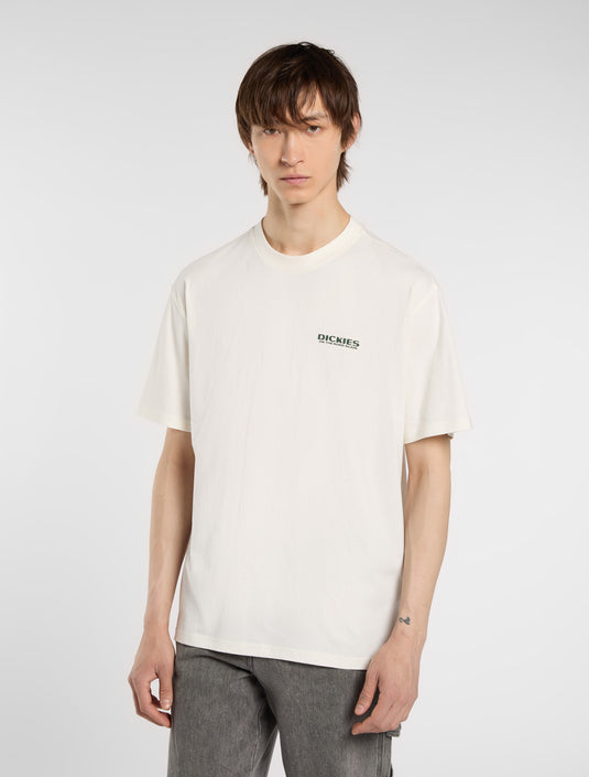 Dickies Men's Burns Light Weight T-shirt Beige DK0A87QIC481