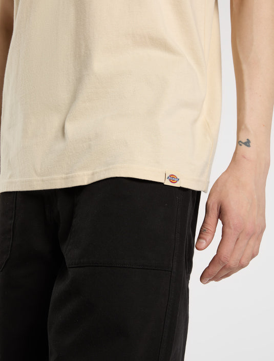 Dickies Men's Apison Light Weight T-shirt Desert Sand DK0A87QML171