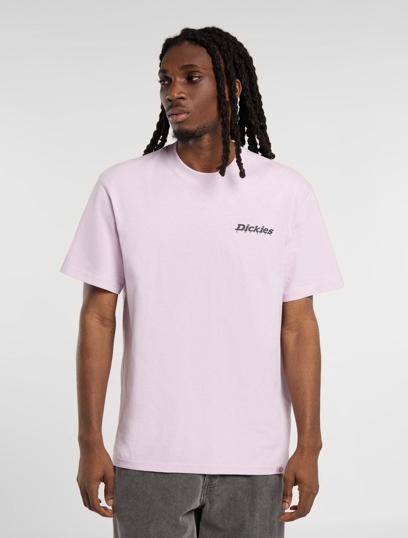 Load image into Gallery viewer, Dickies Men&#39;s Statesville Mid Weight T-shirt Peach Brulee DK0A87QPK73
