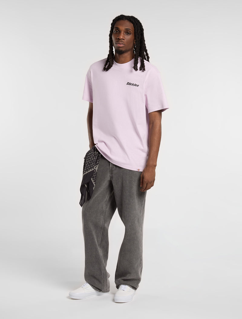 Load image into Gallery viewer, Dickies Men&#39;s Statesville Mid Weight T-shirt Peach Brulee DK0A87QPK73
