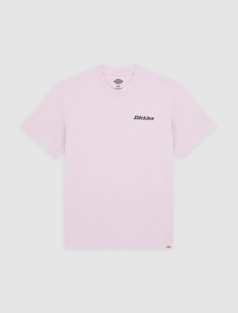 Load image into Gallery viewer, Dickies Men&#39;s Statesville Mid Weight T-shirt Peach Brulee DK0A87QPK73
