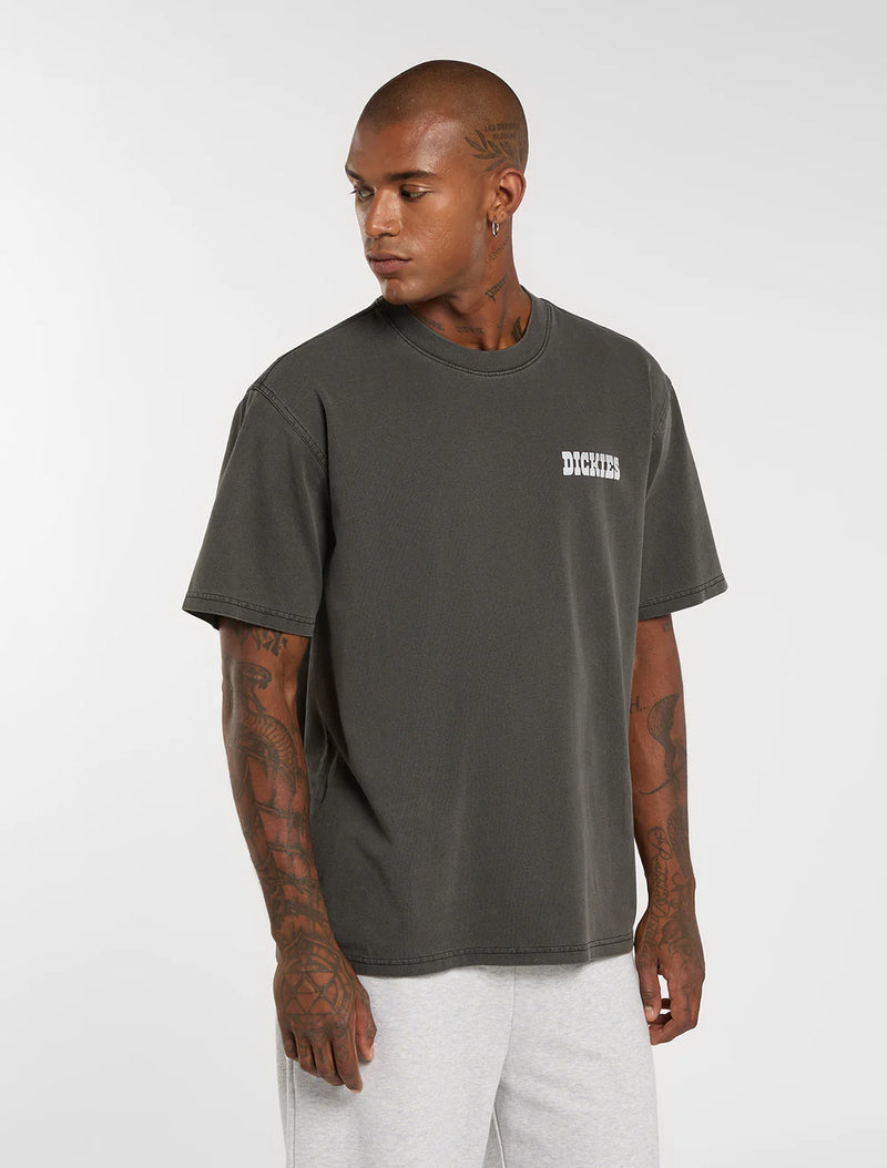Load image into Gallery viewer, Dickies Men's Buchtell Midweight T-shirt Black DK0A883BBLK
