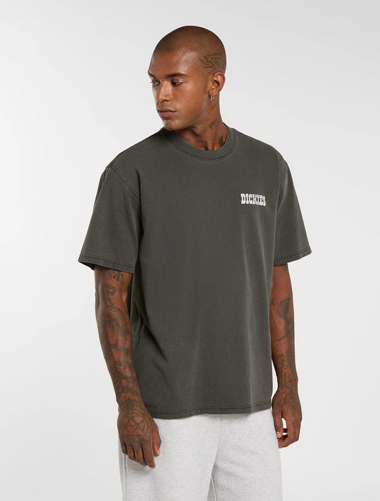 Dickies Men's Buchtell Midweight T-shirt Black DK0A883BBLK