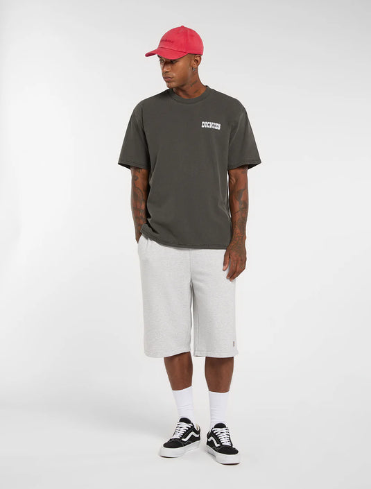 Dickies Men's Buchtell Midweight T-shirt Black DK0A883BBLK