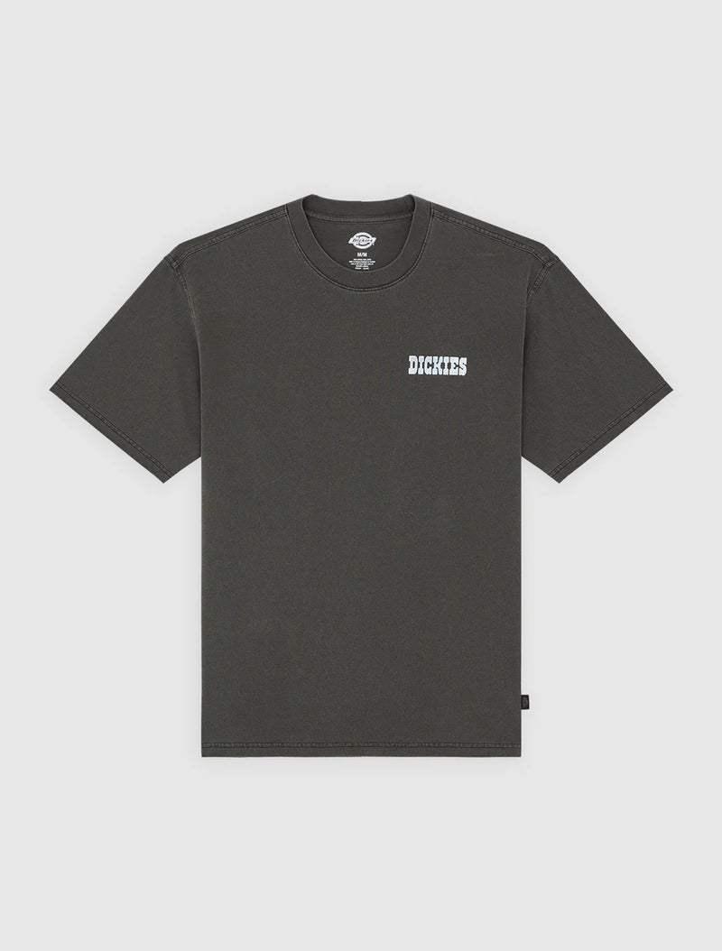 Load image into Gallery viewer, Dickies Men's Buchtell Midweight T-shirt Black DK0A883BBLK
