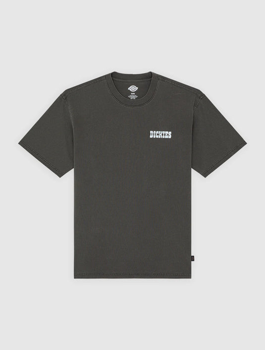 Dickies Men's Buchtell Midweight T-shirt Black DK0A883BBLK