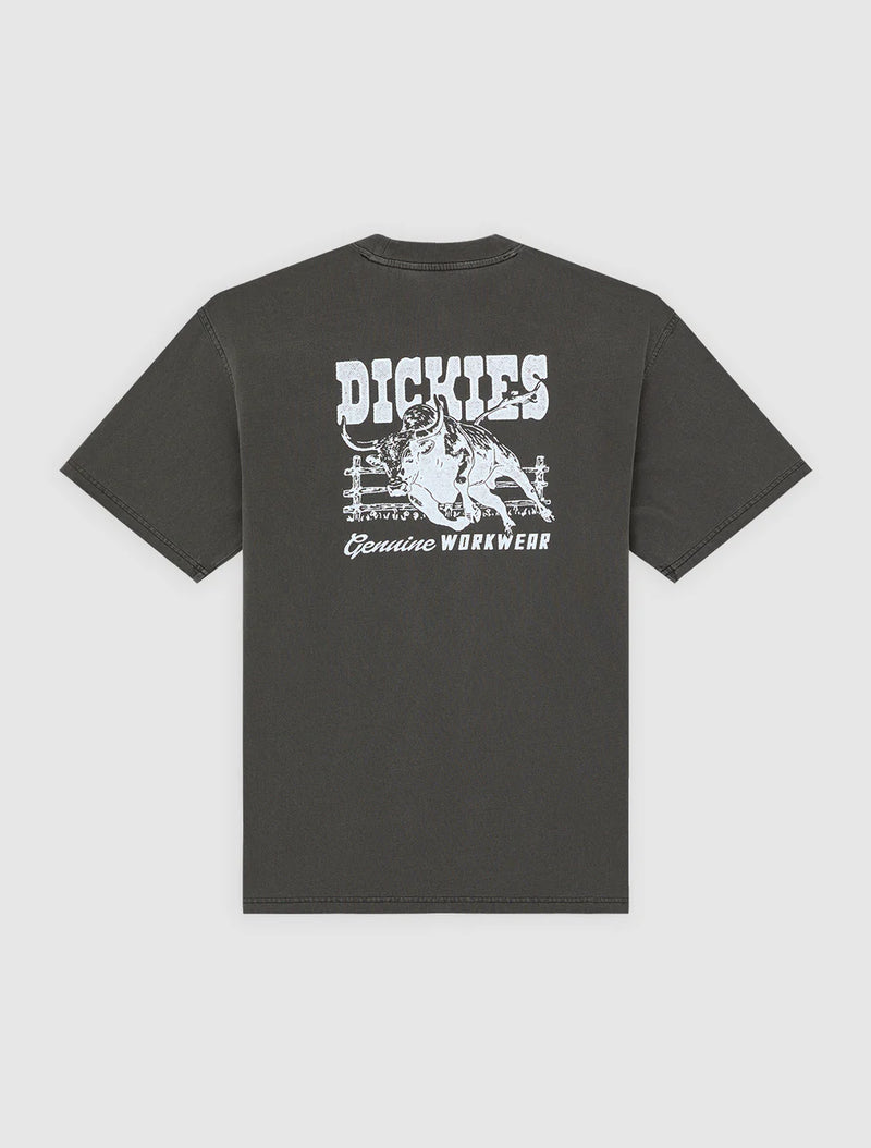 Load image into Gallery viewer, Dickies Men's Buchtell Midweight T-shirt Black DK0A883BBLK
