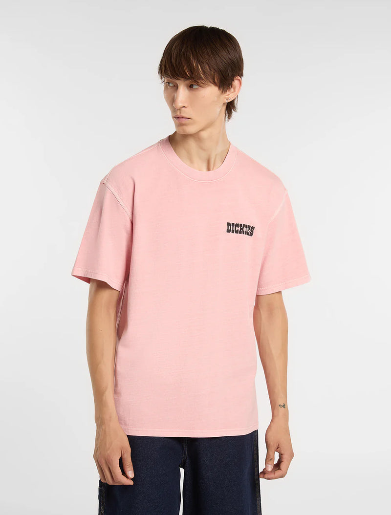 Load image into Gallery viewer, Dickies Men's Buchtell Midweight T-shirt Bridal Rose DK0A883BL47
