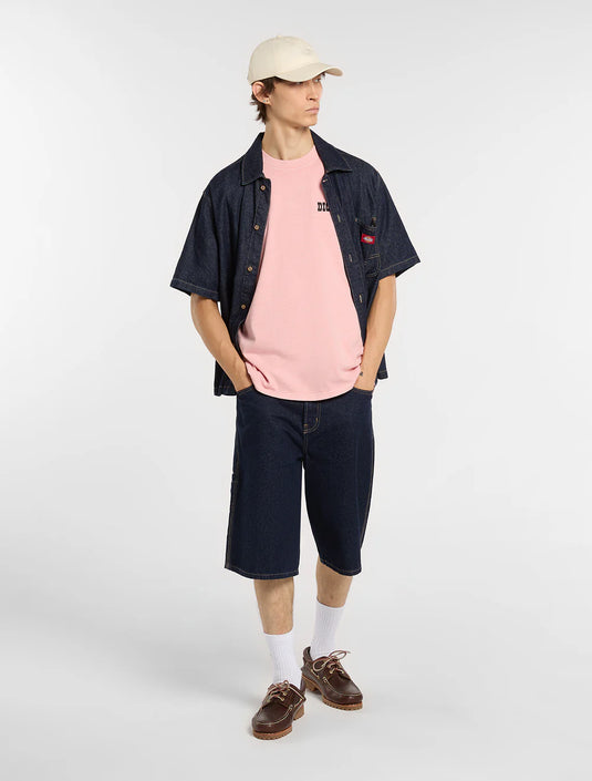 Dickies Men's Buchtell Midweight T-shirt Bridal Rose DK0A883BL47