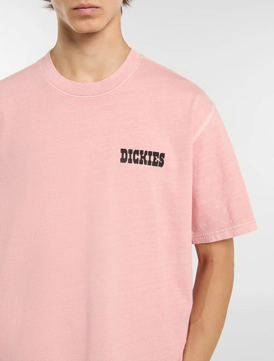 Dickies Men's Buchtell Midweight T-shirt Bridal Rose DK0A883BL47