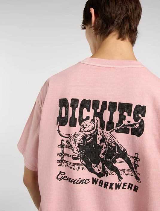 Dickies Men's Buchtell Midweight T-shirt Bridal Rose DK0A883BL47