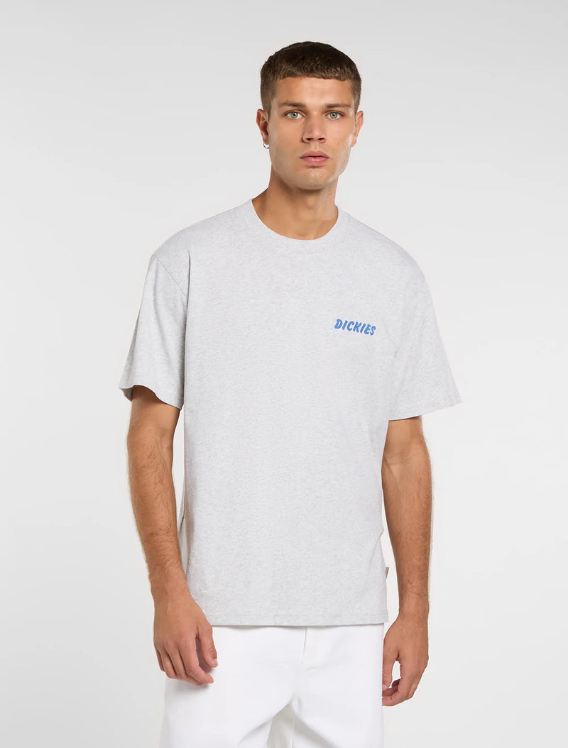 Load image into Gallery viewer, Dickies Men's Dry Ridge T-Shirt Light Grey DK0A8853A28
