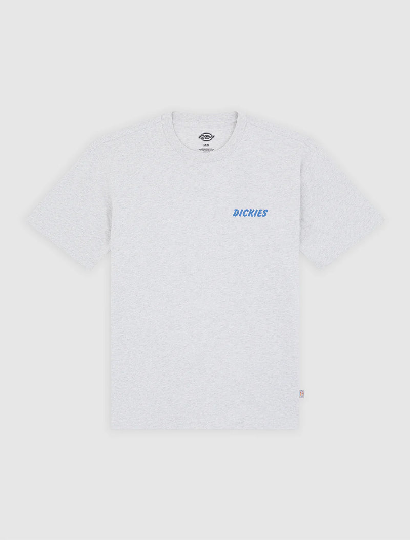 Load image into Gallery viewer, Dickies Men's Dry Ridge T-Shirt Light Grey DK0A8853A28
