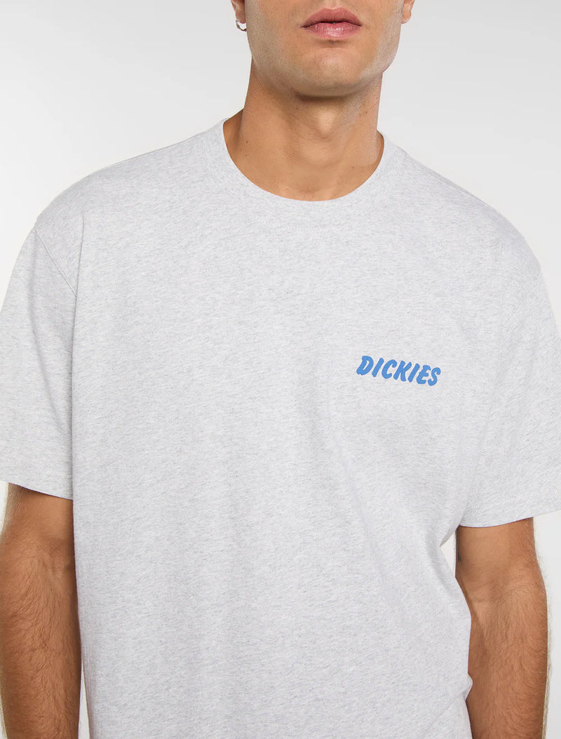 Load image into Gallery viewer, Dickies Men's Dry Ridge T-Shirt Light Grey DK0A8853A28
