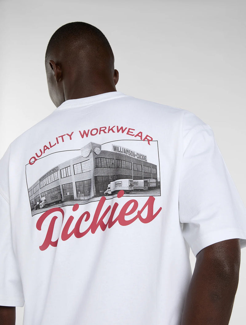 Load image into Gallery viewer, Dickies Men's Wellsville Medium Weight T-Shirt White DK0A88860WH1
