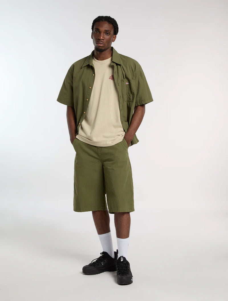 Load image into Gallery viewer, Dickies Men's Vernal 13-Inch Loose Shorts Cypress DK0A888HK72
