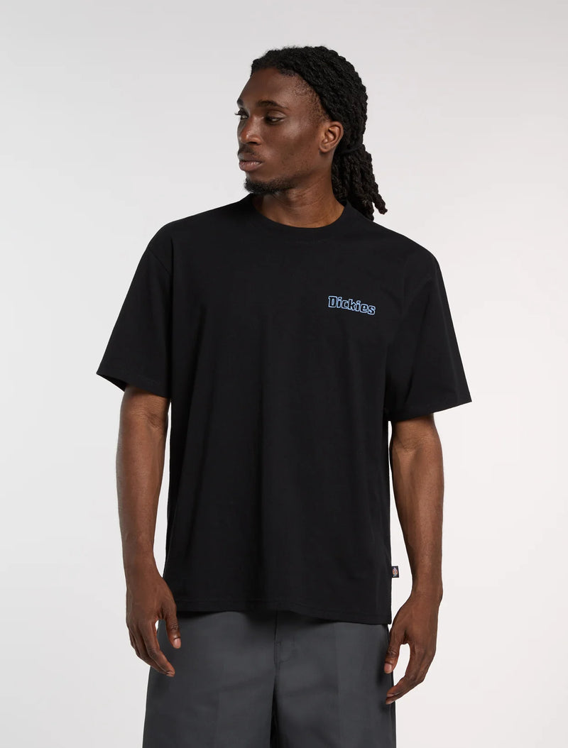 Load image into Gallery viewer, Dickies Men's Fairlawn Midweight T-Shirt Black DK0A88GEBLK
