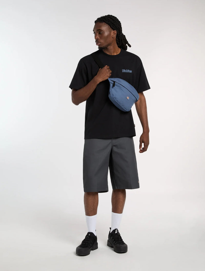 Load image into Gallery viewer, Dickies Men's Fairlawn Midweight T-Shirt Black DK0A88GEBLK
