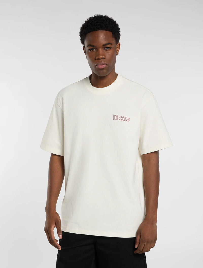 Load image into Gallery viewer, Dickies Men's Fairlawn Midweight T-Shirt Egret DK0A88GEC48
