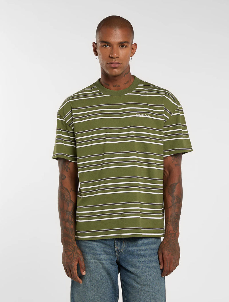 Load image into Gallery viewer, Dickies Men's East Liberty Stripe Midweight T-shirt Cypress DK0A88GFK72
