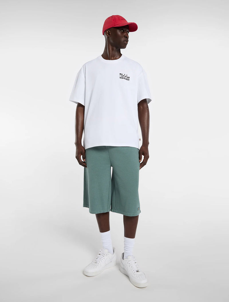 Load image into Gallery viewer, Dickies Men's Polk Mid Weight T-Shirt White DK0A88G00WH1
