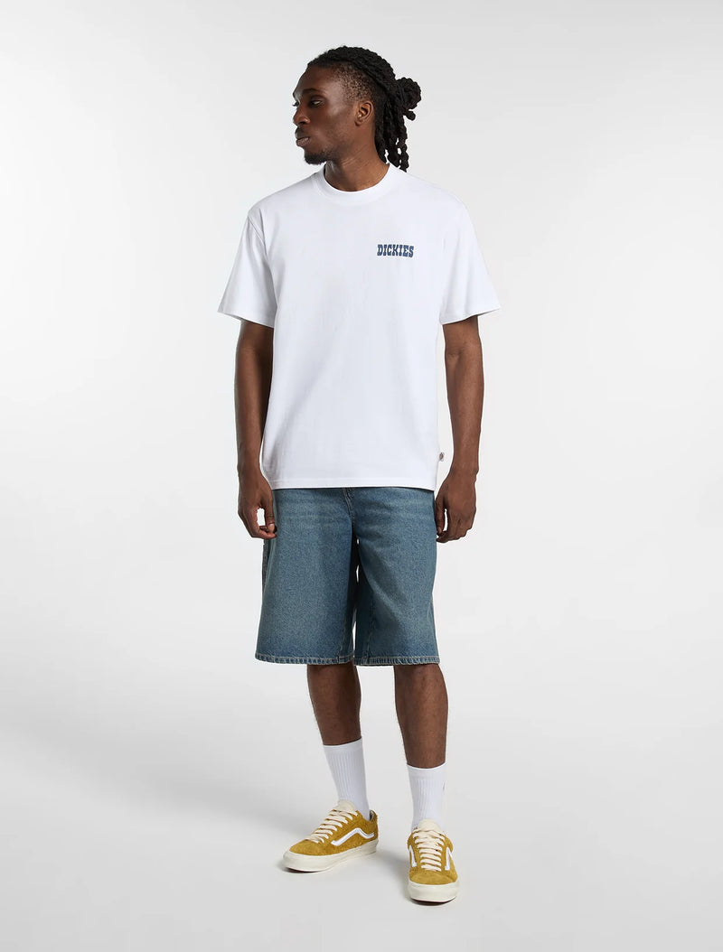 Load image into Gallery viewer, Dickies Men's Plain City Light Weight T-Shirt White DK0A88JI0WH1
