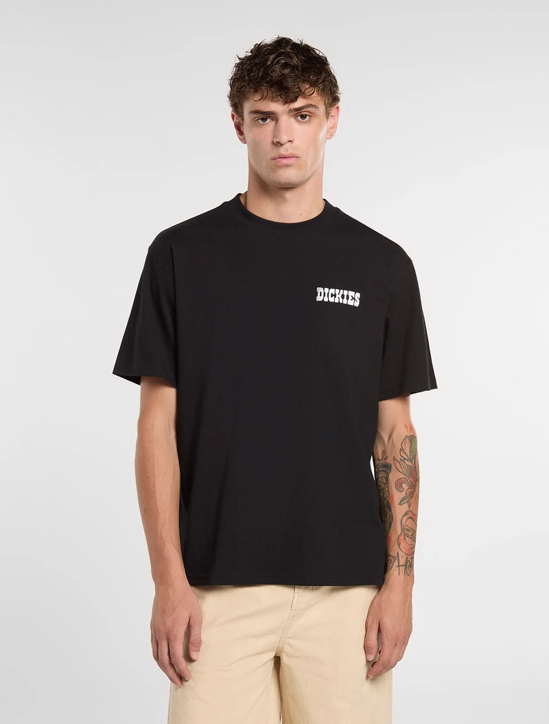 Load image into Gallery viewer, Dickies Men's Plain City Light Weight T-Shirt Black DK0A88JIBLK1

