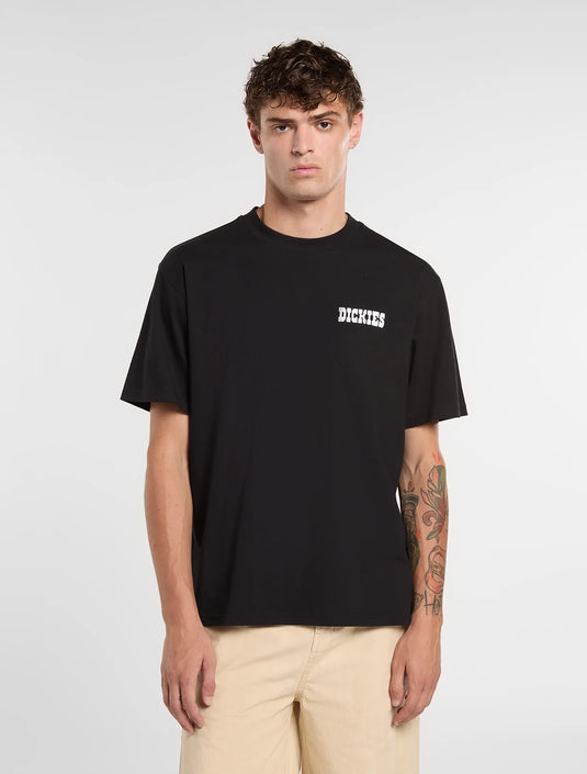 Dickies Men's Plain City Light Weight T-Shirt Black DK0A88JIBLK1